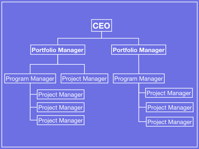 Chart - Portfolio Manager vs Program Manager vs Project Manager